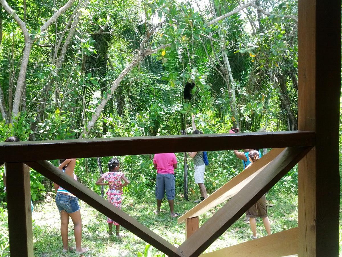 Bermudian Landing Nature Resort מראה חיצוני תמונה